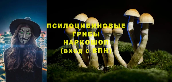 скорость Алексин