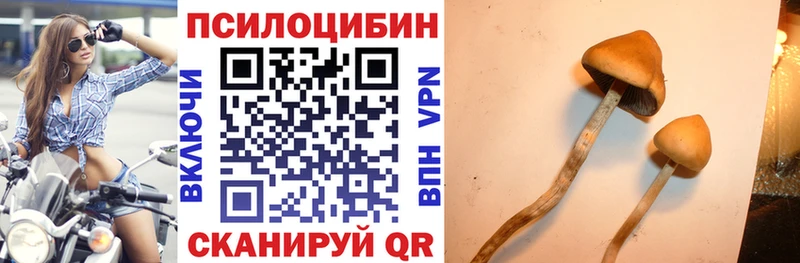 Псилоцибиновые грибы Magic Shrooms  блэк спрут как зайти  Муром 
