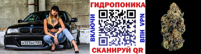 Конопля VHQ  Муром 
